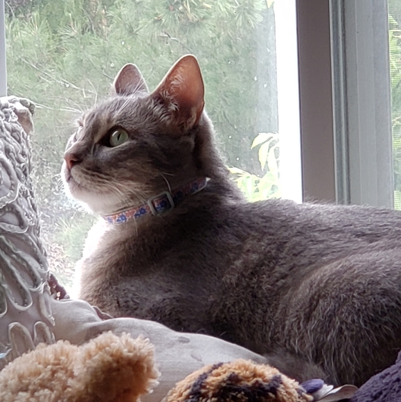 Meet your Posher, Diane - Picture 3 of 6